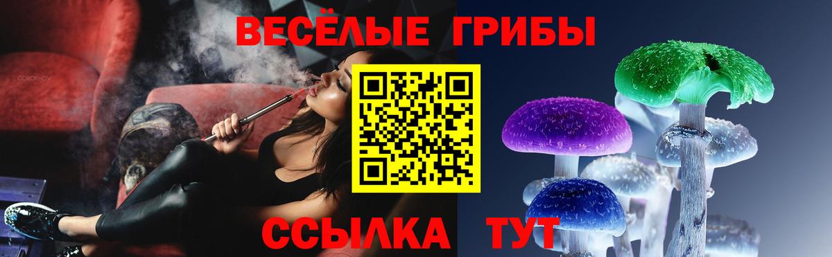 Ипатово  Псилоцибиновые грибы MAGIC MUSHROOMS  продажа наркотиков  Вход с VPN 